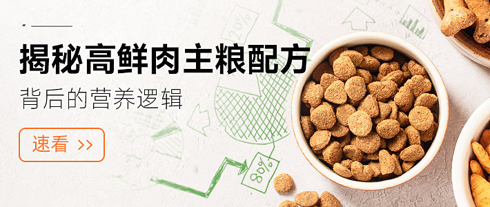 口袋厨房-口袋里的鲜营养cat