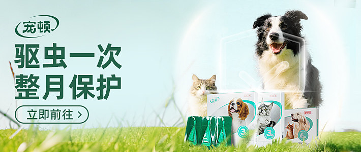 宠顿专区dog